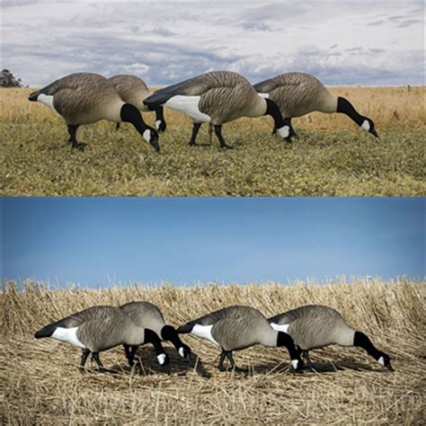 cheapest full body goose decoys.